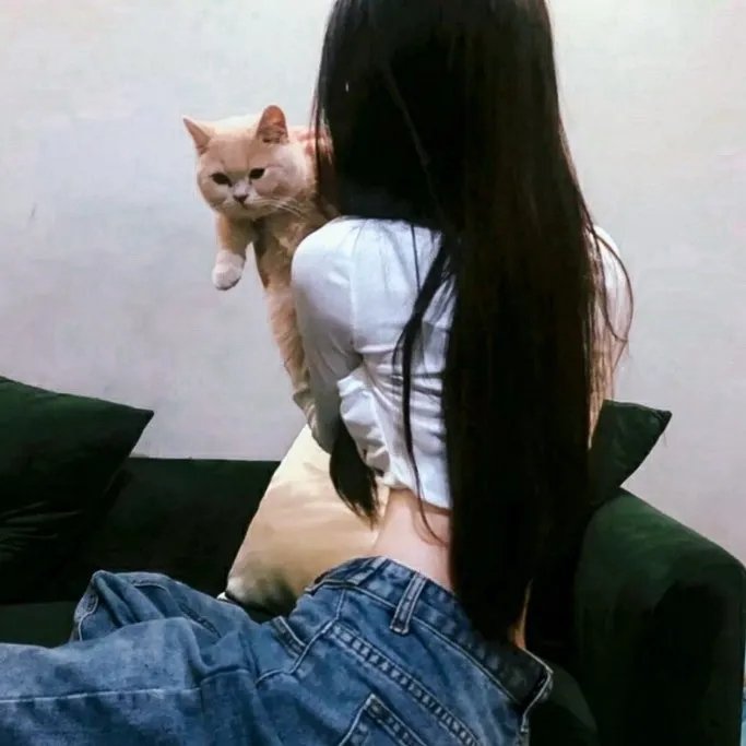 纸花